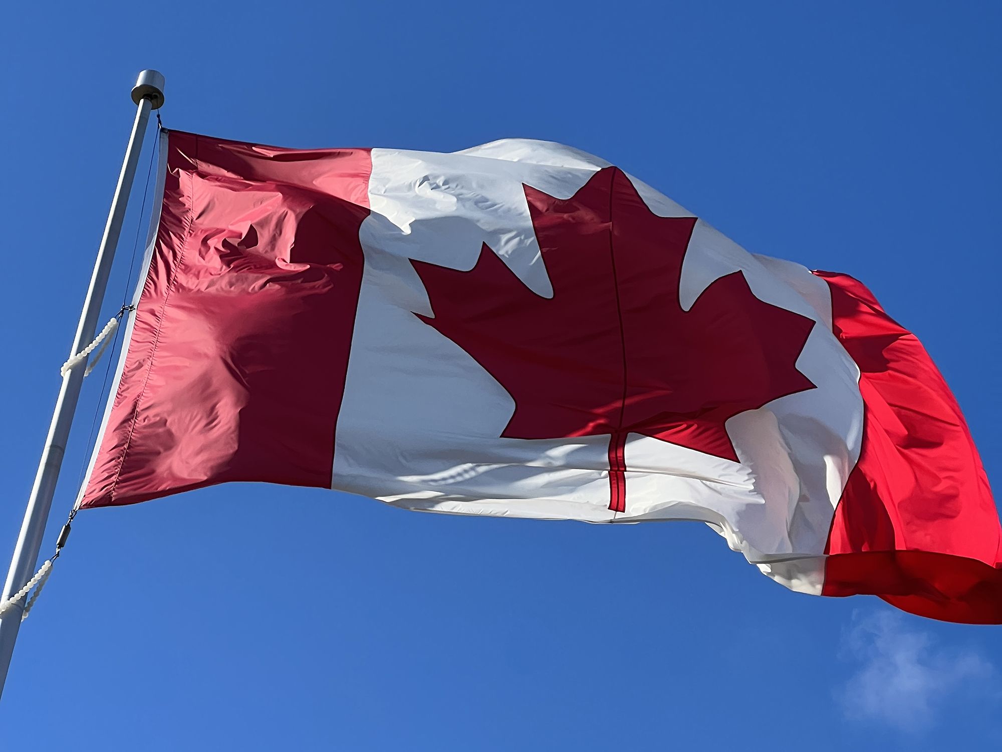 Ключевые преимущества профессиональных услуг по оформлению визы в Канаду