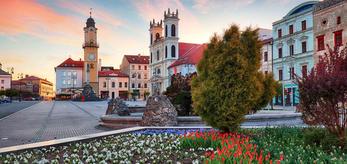 Переваги онлайн курсів словацької мови